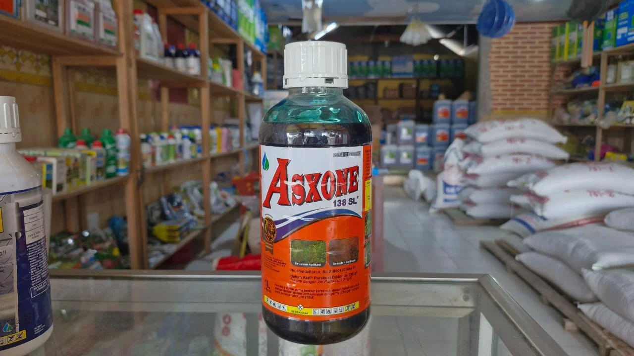 Jual Asxone 138 SL Pangkalan Banteng Aman, Harga Terbaik di Green Al Fatih